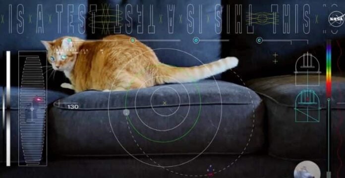NASA Streaming a Cat Video