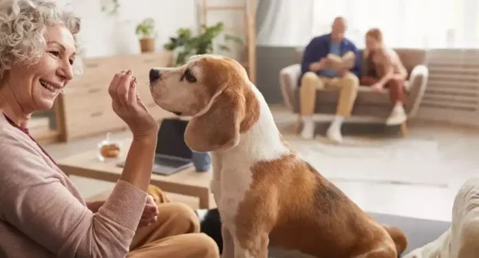Owning pets help slow cognitive decline
