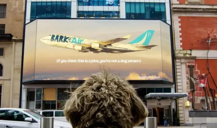 Bark Air flight service Dogs