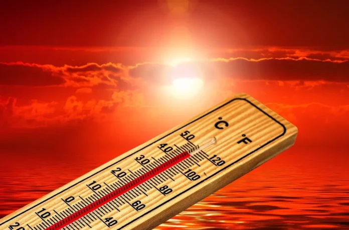summer of heat waves