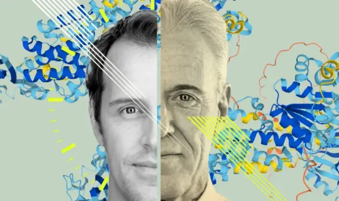 Illustration of scientists analyzing a new biological age test for accurate health tracking