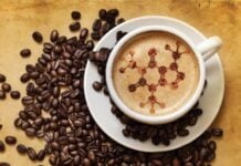 Revolutionary Brewing Possibilities: Using Caffeine to Control Gene Expression Caffeine-triggered system controlling engineered gene expression in advanced genetic research